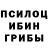 Псилоцибиновые грибы Psilocybe Glifovski