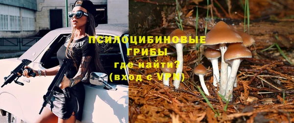 бошки Алзамай