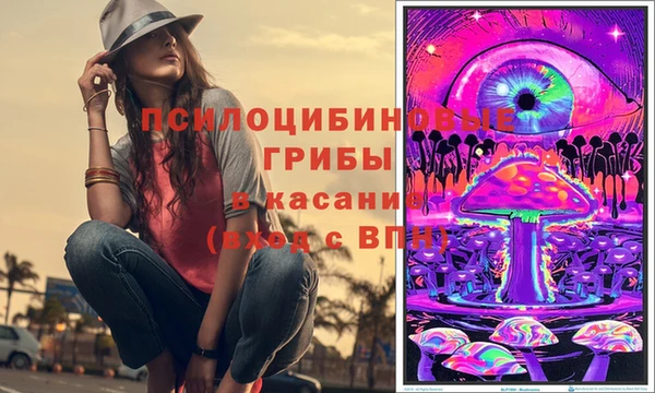 бошки Алзамай